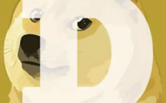 伊隆·马斯克表示，他将支持狗狗币持有