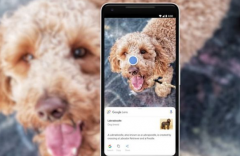 Google Lens可改善对图库的访问权限