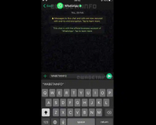WhatsApp可能很快会允许您更改应用程序的